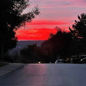 Meet your Posher, Bonnie